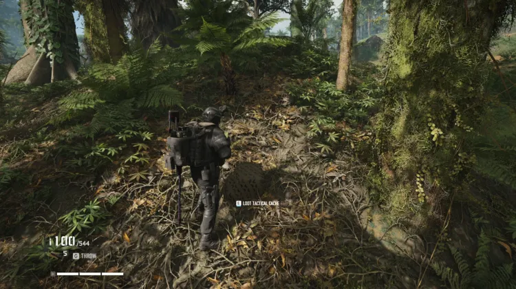 Tactical Caches