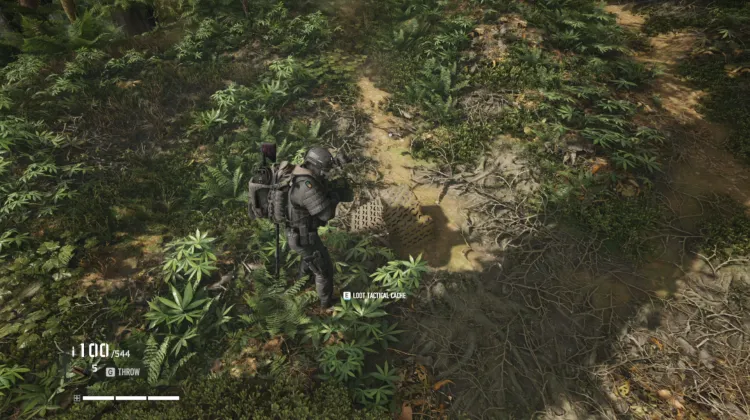 Tactical Caches