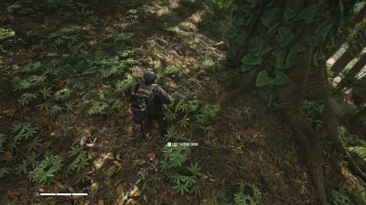 Tactical Caches