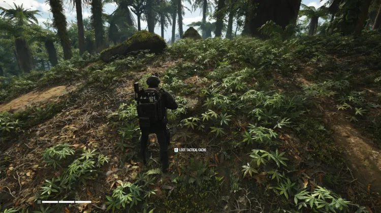 Tactical Caches