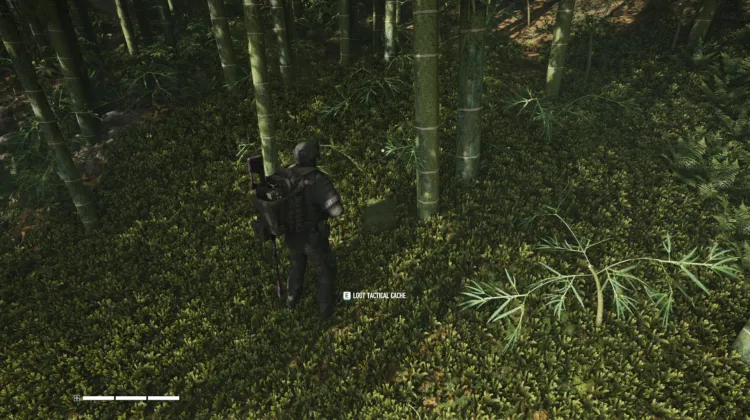 Tactical Caches