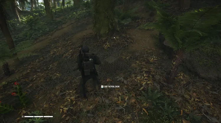 Tactical Caches