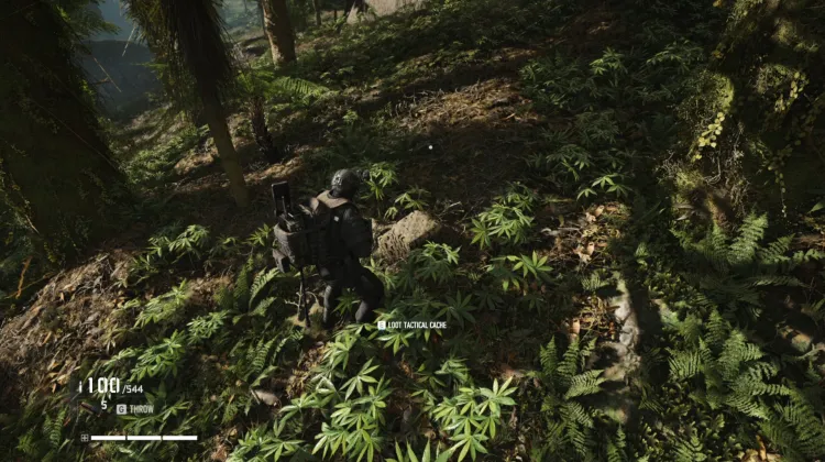 Tactical Caches