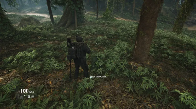 Tactical Caches