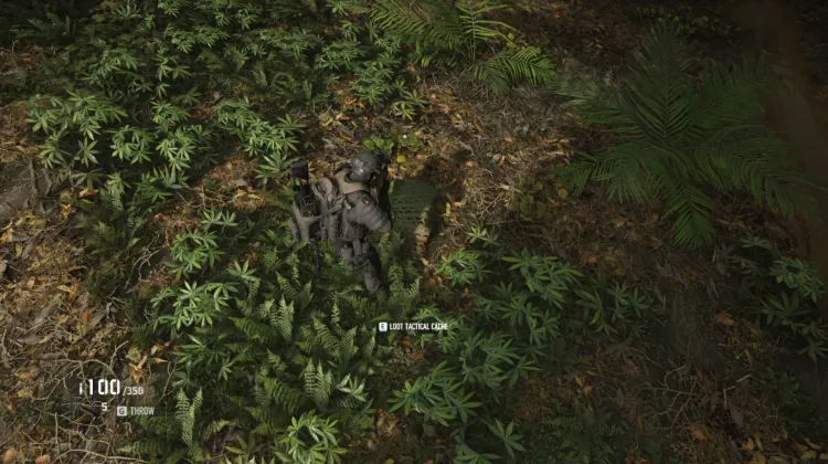 Tactical Caches