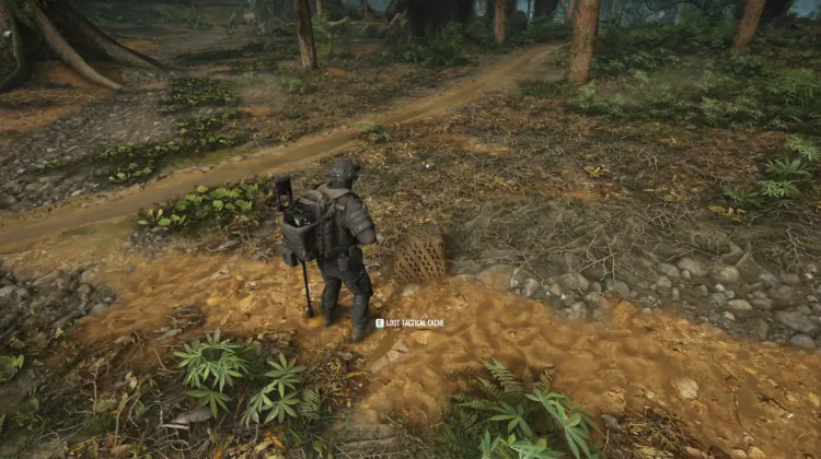 Tactical Caches