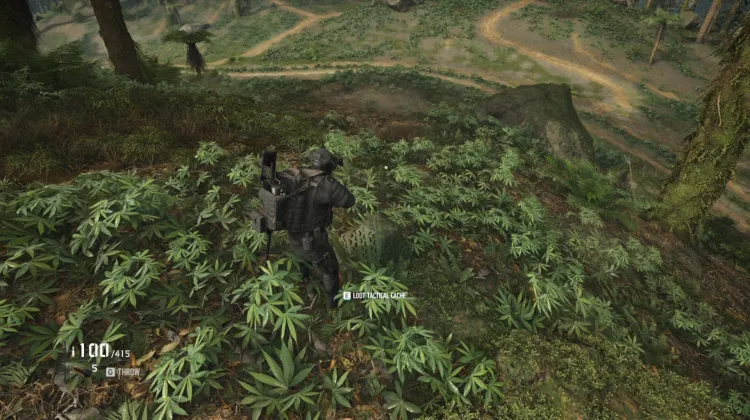 Tactical Caches