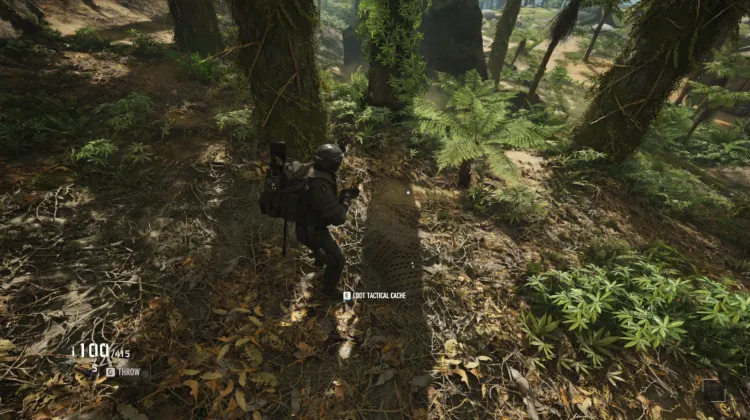 Tactical Caches