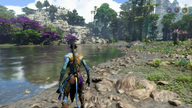 Hexapede (Exquisite)