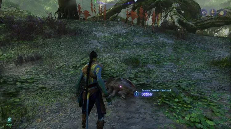 Scarab Crawler (Exquisite)