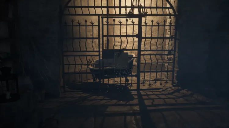 Caged Bathtub