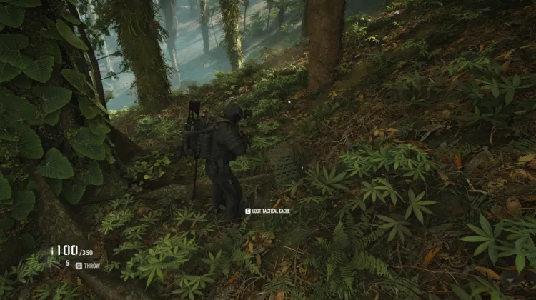 Tactical Caches