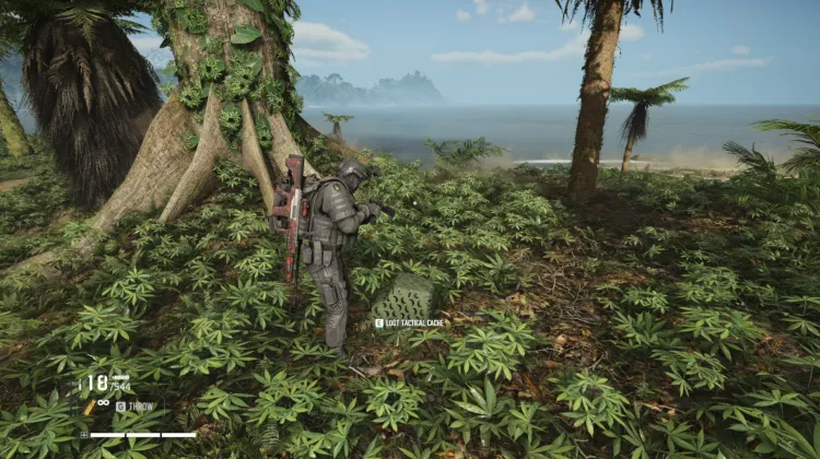 Tactical Caches