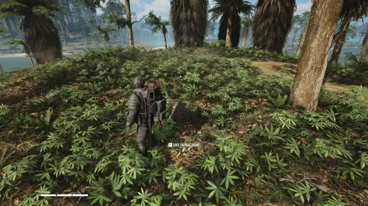 Tactical Caches