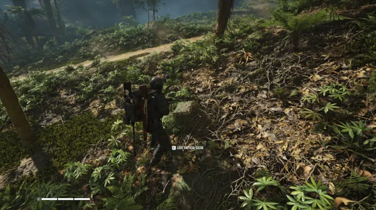 Tactical Caches