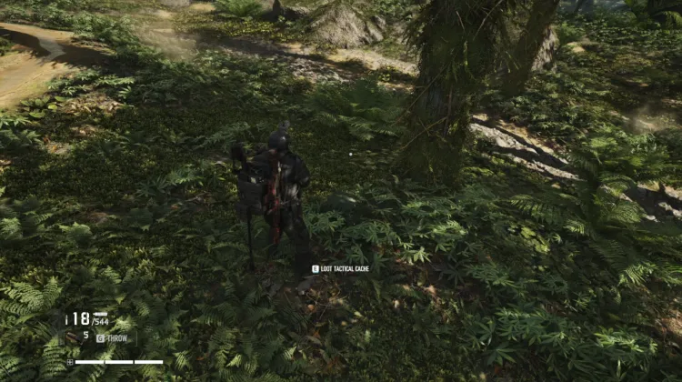 Tactical Caches