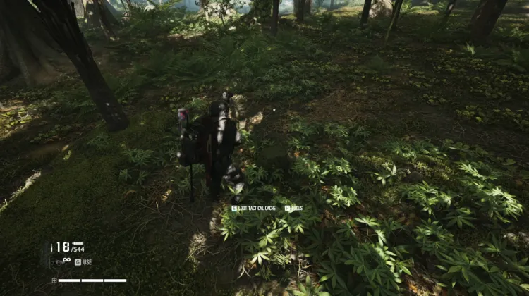 Tactical Caches