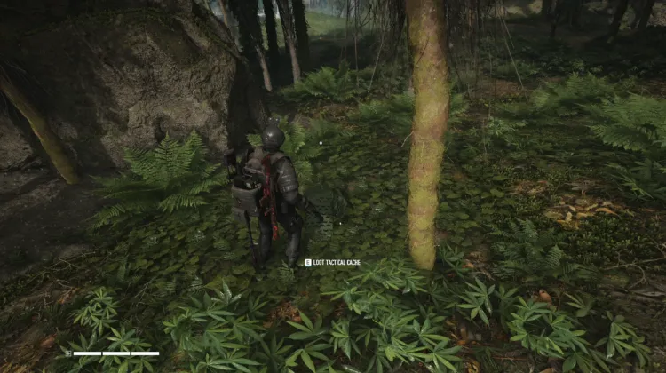 Tactical Caches