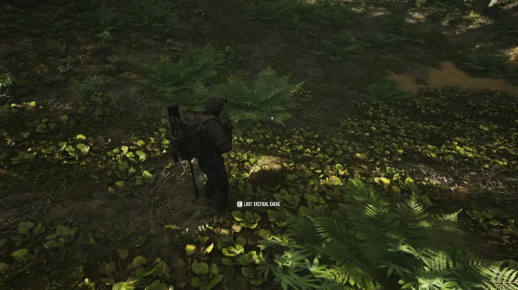 Tactical Caches