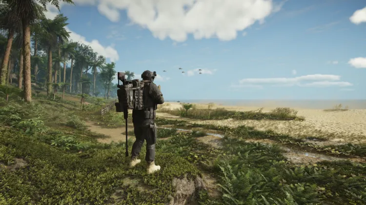 Murmur Patrol Area