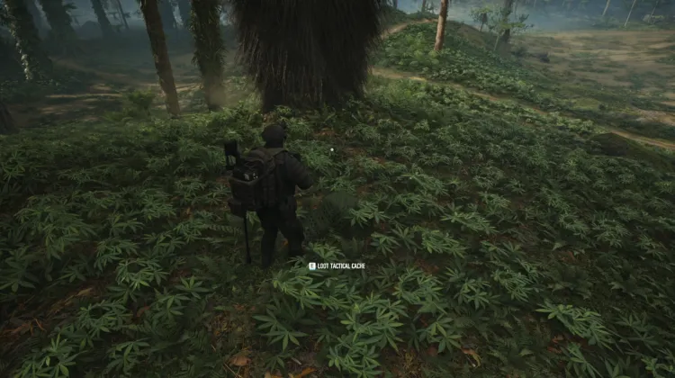 Tactical Caches