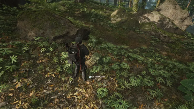 Tactical Caches
