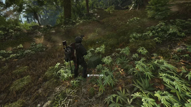 Tactical Caches