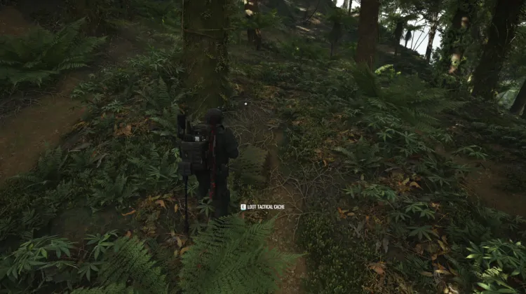 Tactical Caches