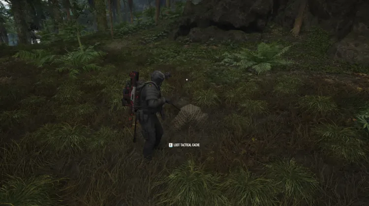 Tactical Caches