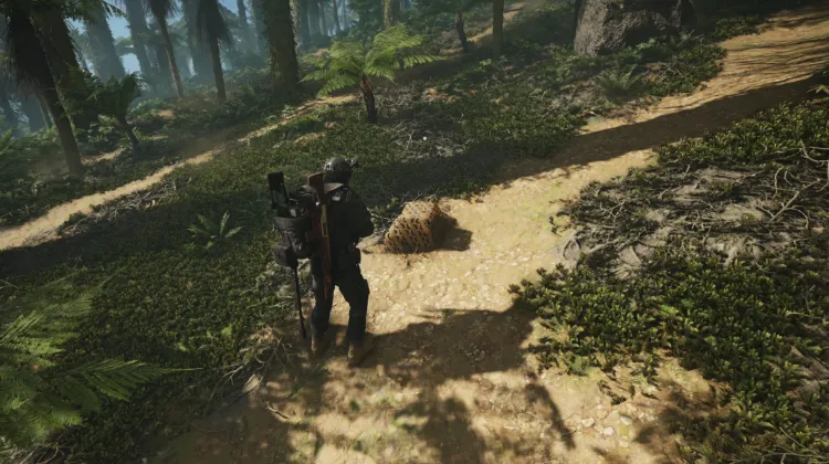 Tactical Caches