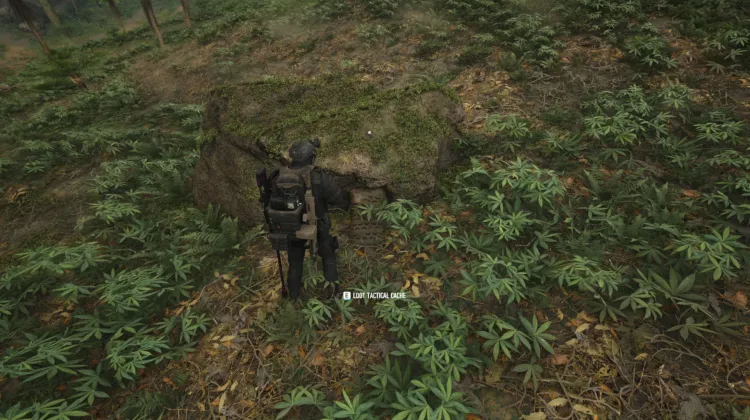 Tactical Caches