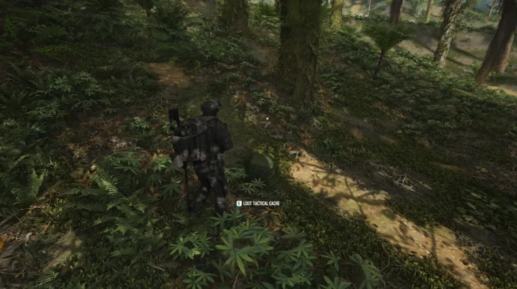 Tactical Caches