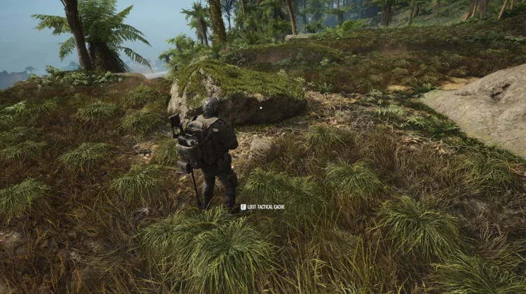 Tactical Caches