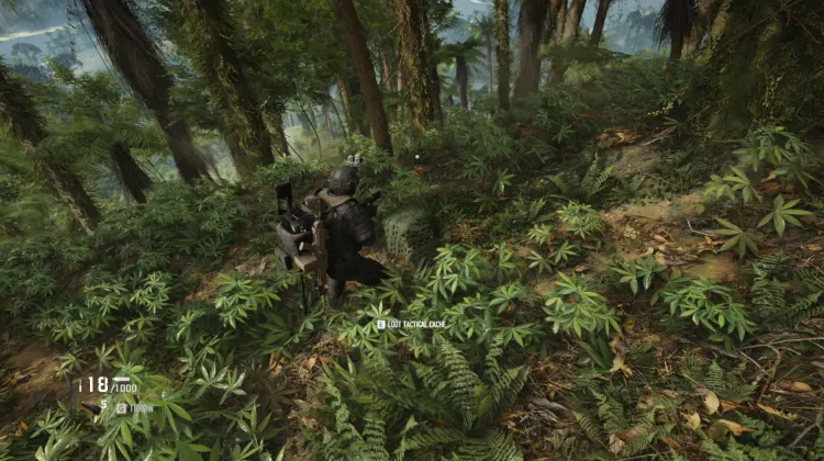 Tactical Caches