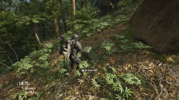 Tactical Caches