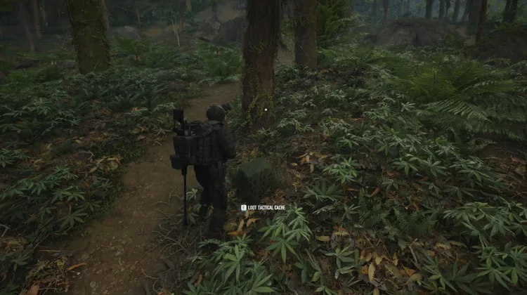 Tactical Caches