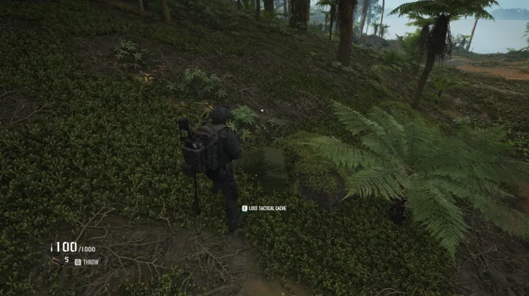 Tactical Caches