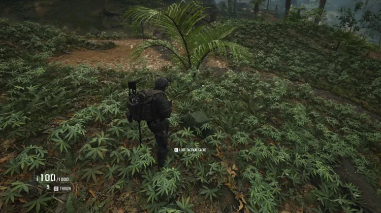 Tactical Caches