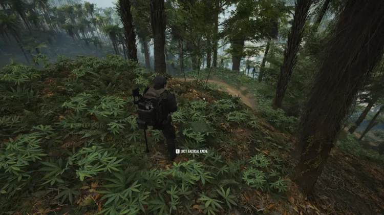 Tactical Caches