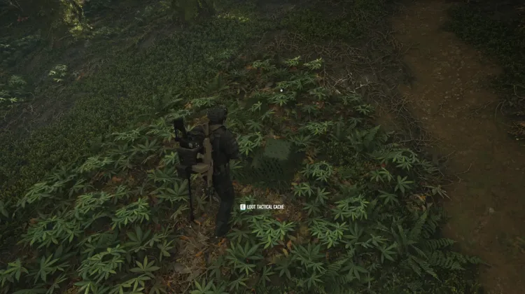 Tactical Caches