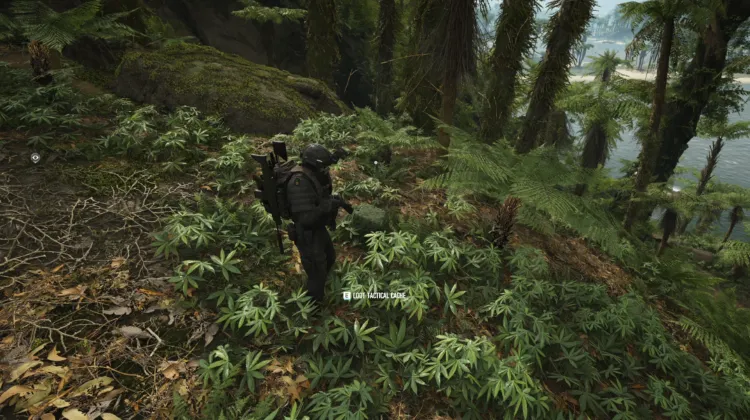 Tactical Caches