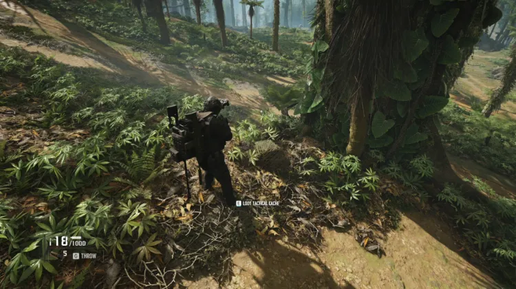Tactical Caches