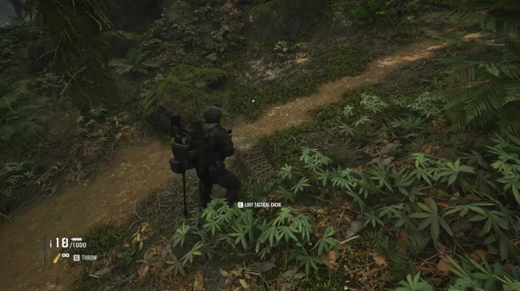 Tactical Caches