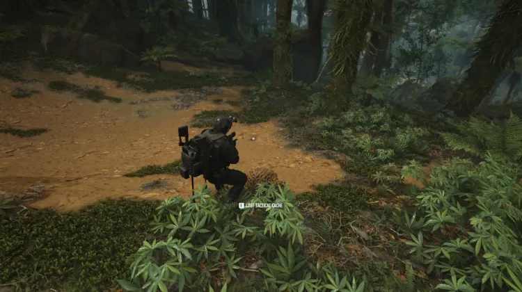 Tactical Caches