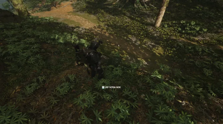 Tactical Caches