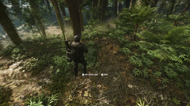 Tactical Caches
