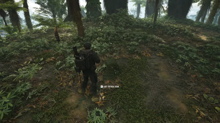 Tactical Caches