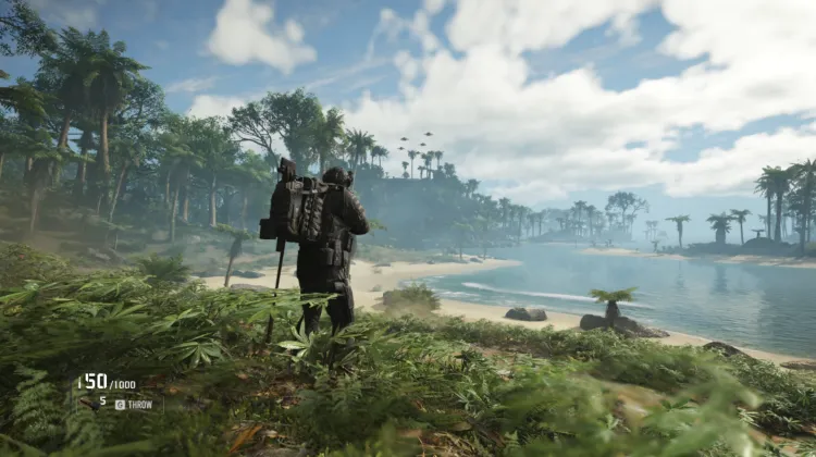 Murmur Patrol Area