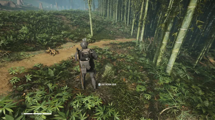 Tactical Caches