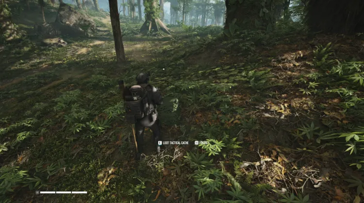 Tactical Caches